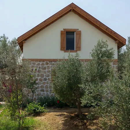 Masal Evimiz-3