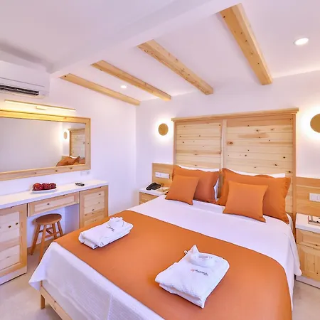 Hotel Aysima-3