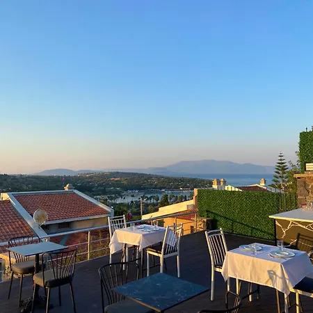 Costa Linn Premium-2