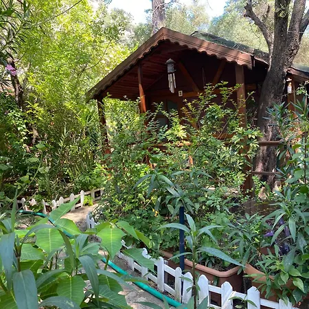 Canario Bungalows-2