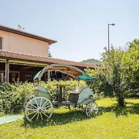 Only Blue Villa-3