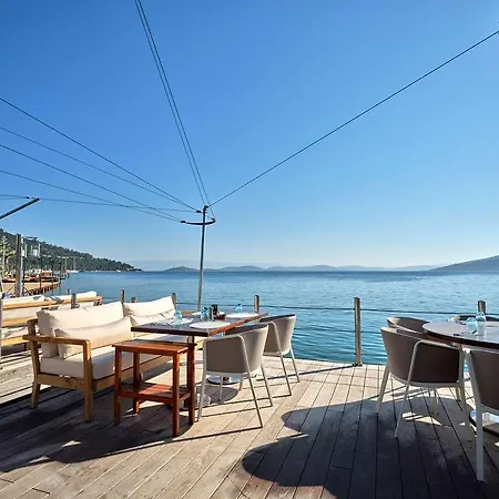 Voyage Torba-2