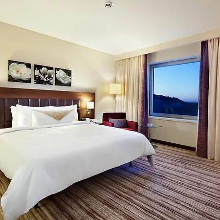 Hilton Garden Inn Mardin-3