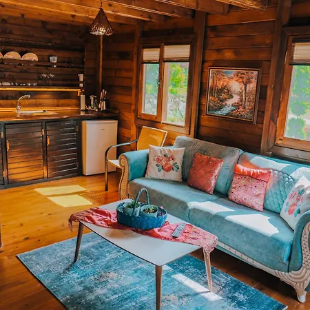 Sapanca Seker Bungalov-3