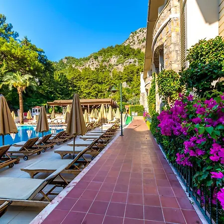 Julian Forest Suites-2