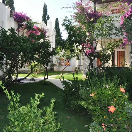 Summer Garden Suites Beach Hotel-2