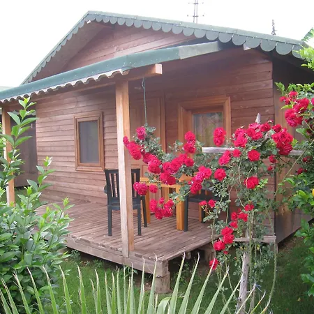 Cirali Armira Bungalow-2