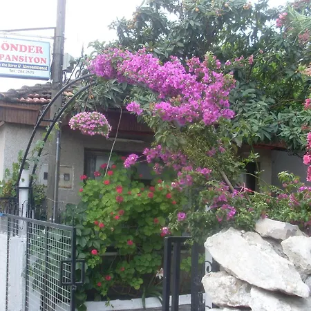 Onder Pansiyon-2