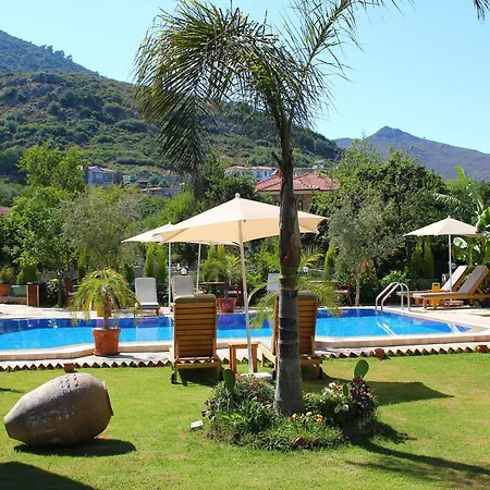 Mavi Deniz Konuk Evi-2
