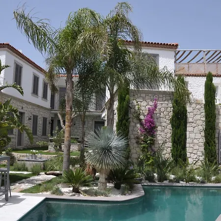 Alacati Ala Hotel - Special Category (Adults Only)-3