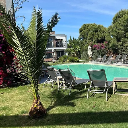 Malta Bodrum-2