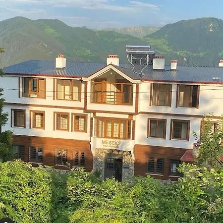 Meşeiçi Butik Aile Oteli-2