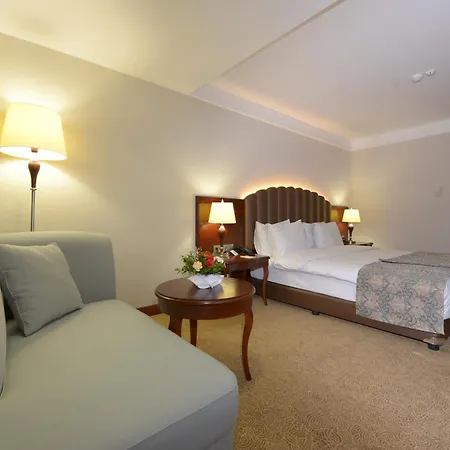 Ramada Plaza Altin Kayisi Hotel-3