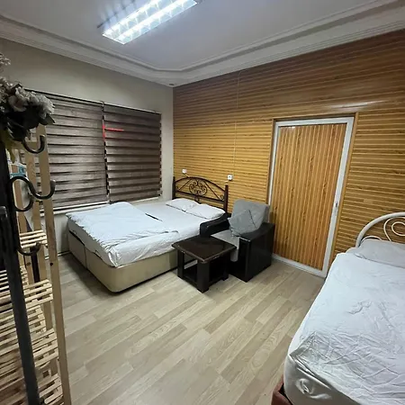 Gueneyli Ev Kiralama-3