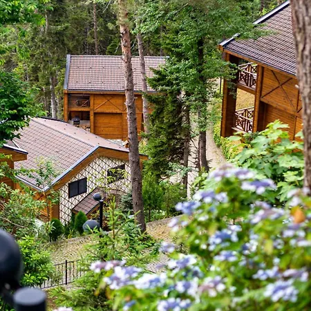 Hancioglu Orman Evleri & Hotel-2