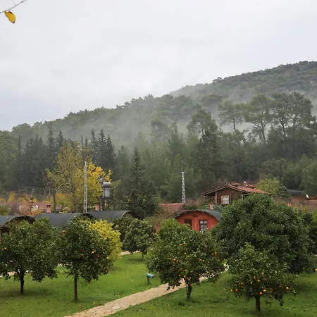 Simurg Evleri Olympos-3