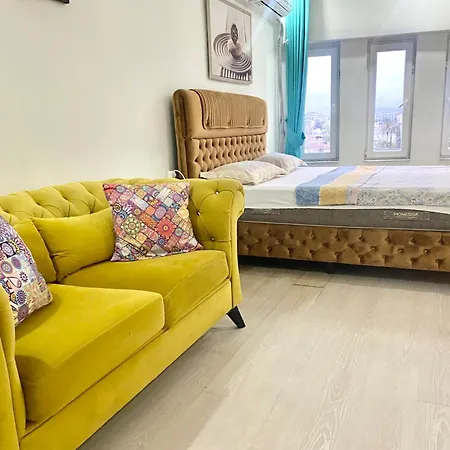 Jazzy Homes-2