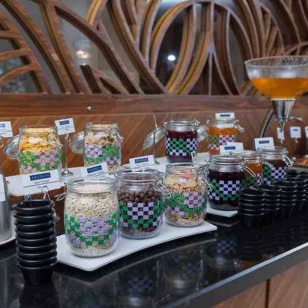 Anemon Bursa Otel-3