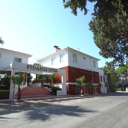 Pidasus Hotel-2