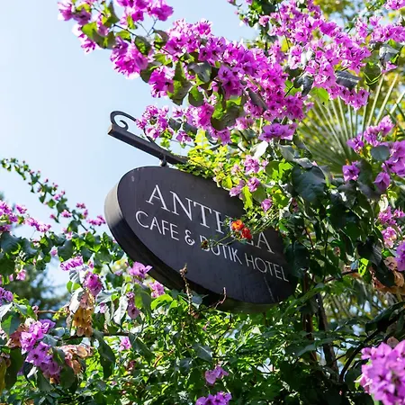 Anthea Butik Otel-2