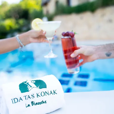 Ida Tas Konak-2