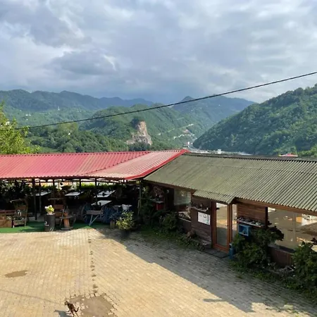ASİL 101 Karadeniz kuş cenneti-2