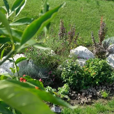 Teona Kartepe Bungalov-2