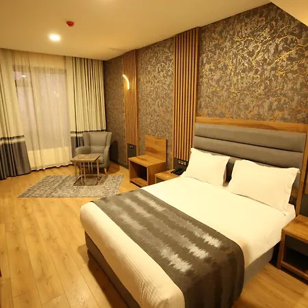 Buepa Plus Hotel-3