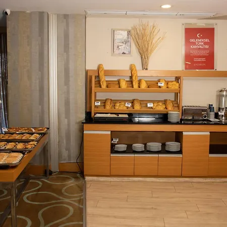 Anemon Grand Adana Otel-2