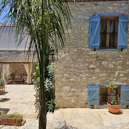 Kuğu Urla-3