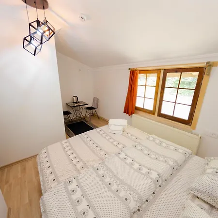 Abant İlbey Dağ Evi-2