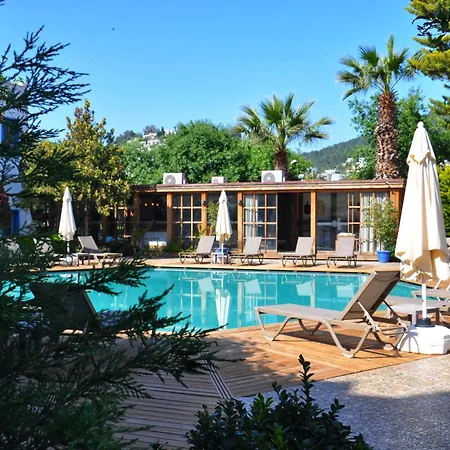 Costa Bodrum City-2