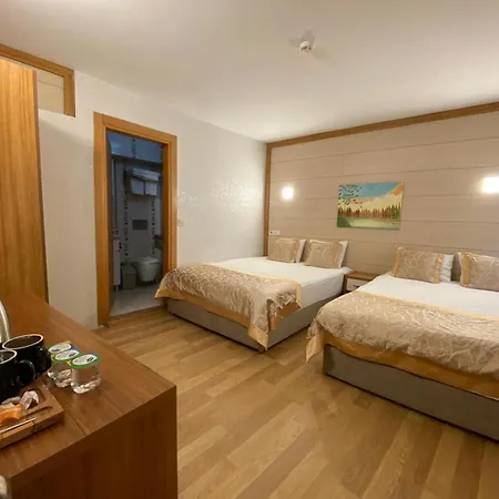 Timeks Hotel Sultanahmet-2