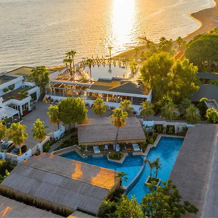 Flora Garden Beach Hotel - Adults Only 16 Plus - Couples Concept-3
