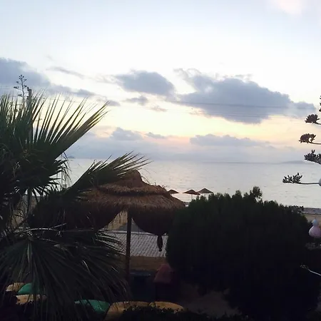 Sun And Sea Beach Hotel-2
