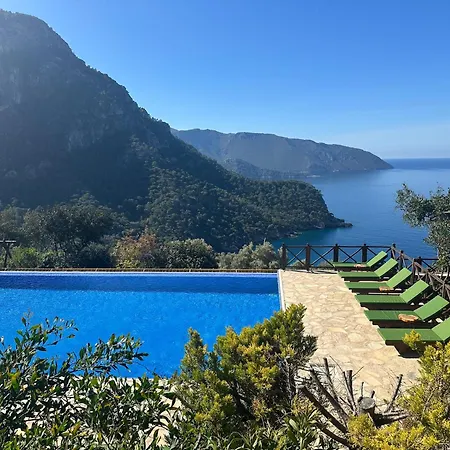 Olive Garden Kabak-3