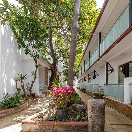 Tropic Beach Resort Hotel-2