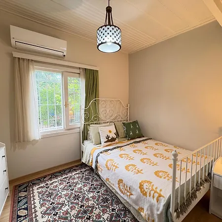 Charming Anatolian House In Cengelkoey-2
