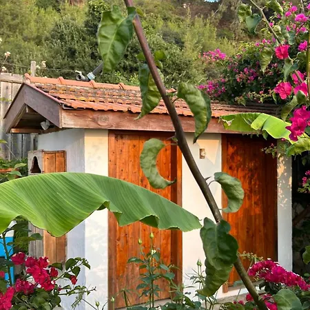 Suleymans Garden-3