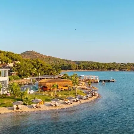 Ivy Sailing Resort Hotel-2