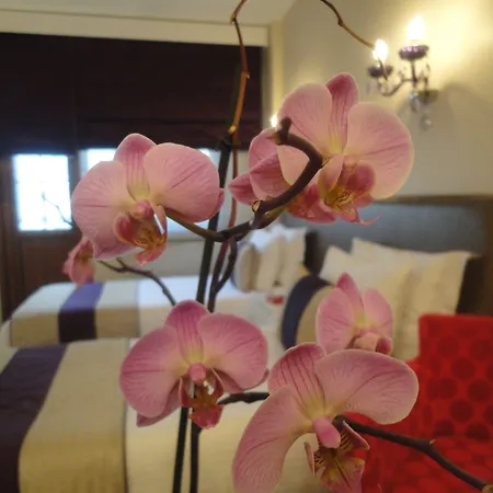 Bakirkoy Tashan Business & Airport Hotel-3