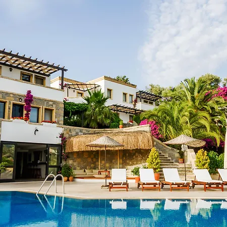4Reasons Hotel + Bistro | 12+-3