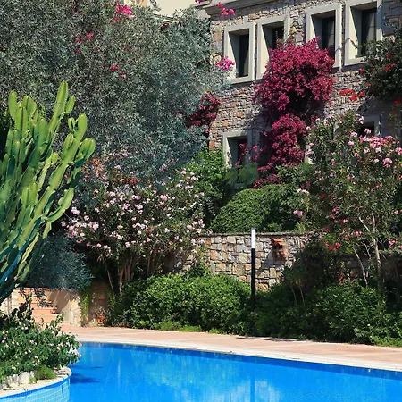 Zeytinada Hotel-2