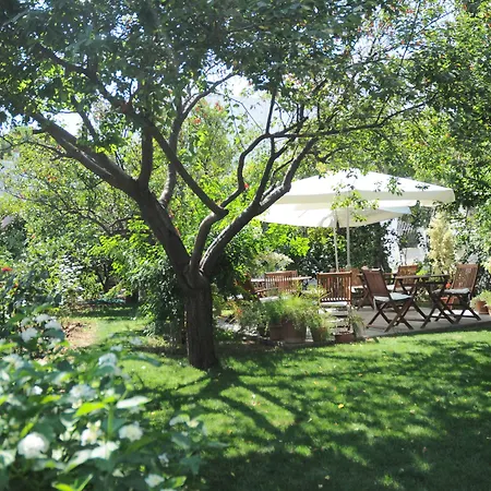 Hotel Gulec-3