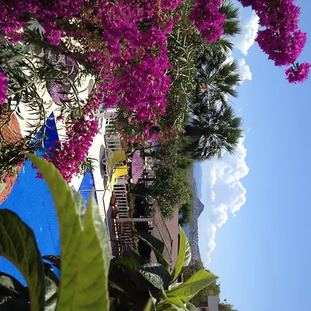 Yilmaz Hotel-2