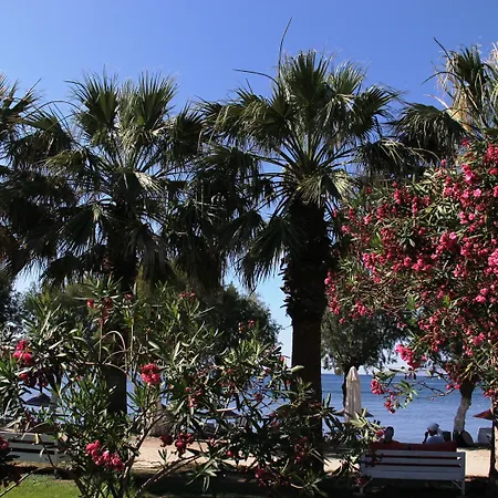 Yilmaz Hotel-3