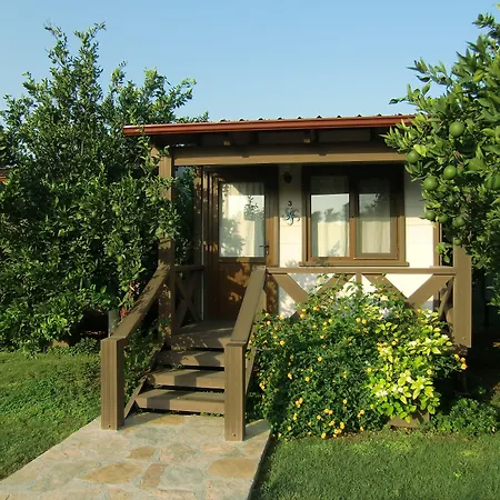 Sedir Resort - Hotel Rooms, Bungalows & Suites-3