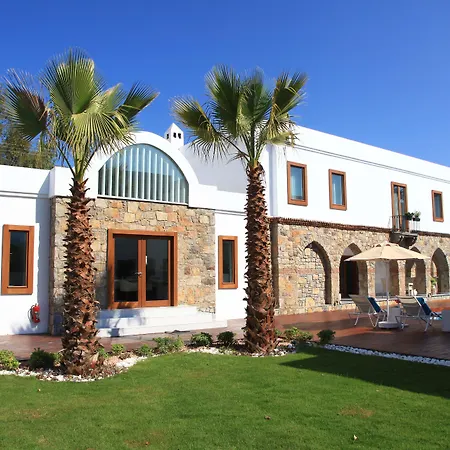 Saraya Bodrum-2