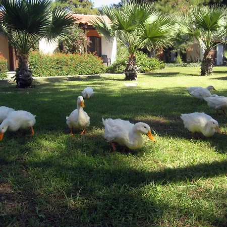 Denizatı Holiday Village-3