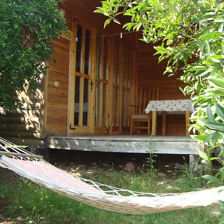 Bellerofon Beach Otel-3
